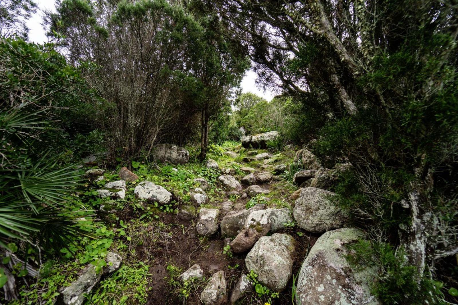 Casa Peppina Διαμέρισμα SantʼAntìoco Εξωτερικό φωτογραφία